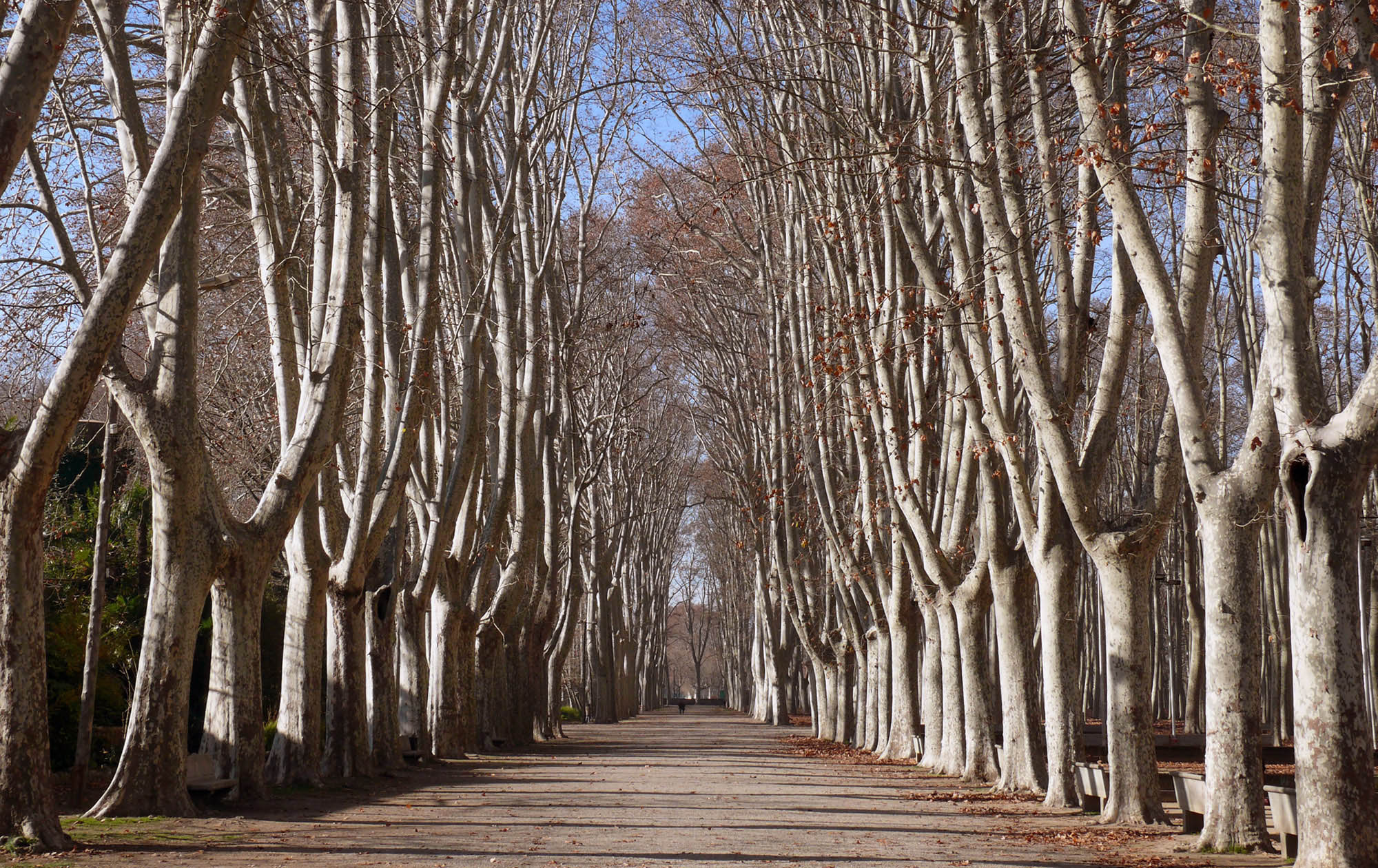 Primera foto de Administrador de finques a Girona